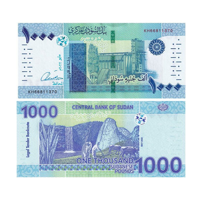 Sudanese Pound 1000 UNC Banknote 2022 | Pick 81