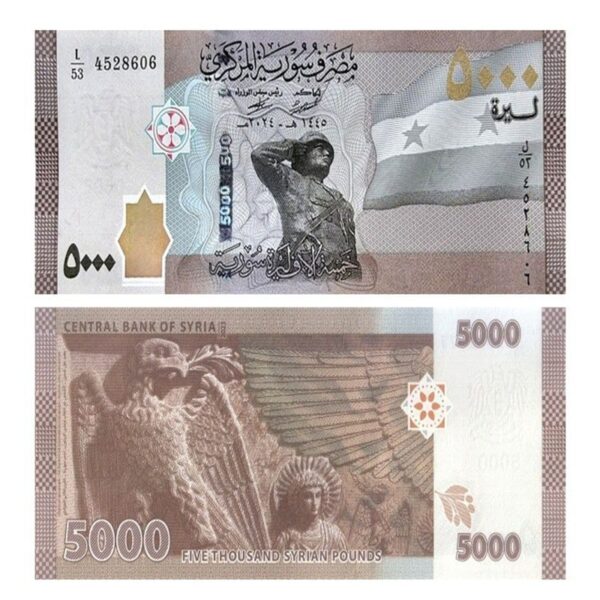Syrian Pound 5000 UNC Banknote | Single