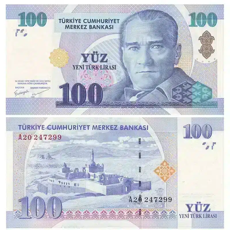 Turkish Lira 100 YTL UNC Banknote 2005 | Pick 221